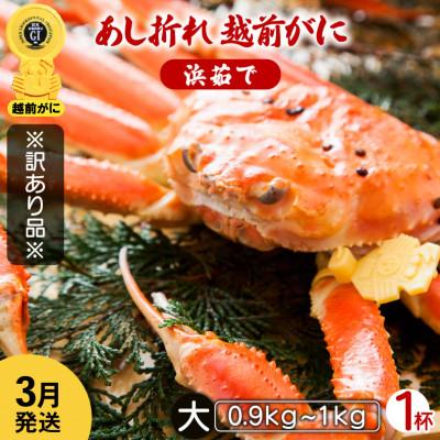 ふるさと納税 越前町 地元鮮魚店厳選  ≪浜茹で≫ 足折れ 越前がに 大サイズ 1杯