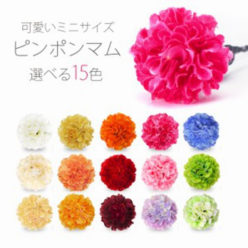 送料無料 かわいい 小さなピンポンマム ミニ 選べる15色カラバリ 髪飾り Uピン レディース 七五三 成人式 浴衣 卒業式 結婚式 披露 通販 Lineポイント最大1 0 Get Lineショッピング