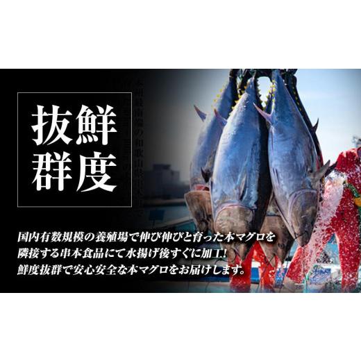 ふるさと納税 和歌山県 白浜町 プレミア和歌山認証品 本マグロ（養殖）トロ＆赤身セット　500g