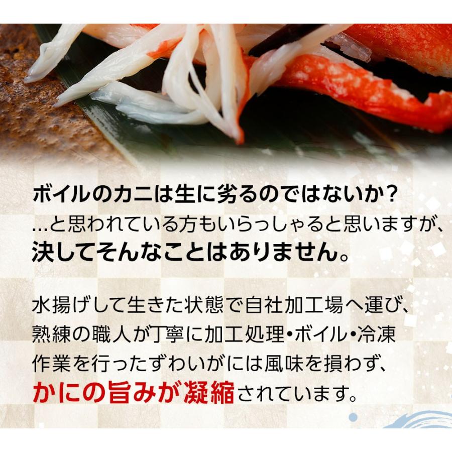 ポイントアップ 年末予約受付中 カニ かに 蟹 ズワイガニ ボイル 棒肉 300g 36本入り 1パック 蟹 訳あり 格安