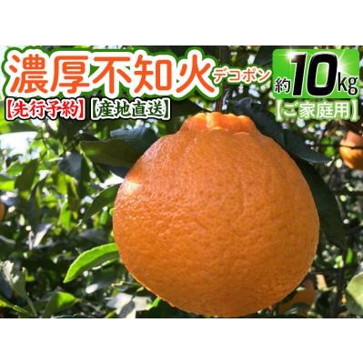 ふるさと納税 有田育ちの濃厚 不知火 (デコポンと同品種)（訳あり 家庭用）約10kg ※2024年1月下旬〜3月下旬頃に順次発送予定 ※.. 和歌山県広川町