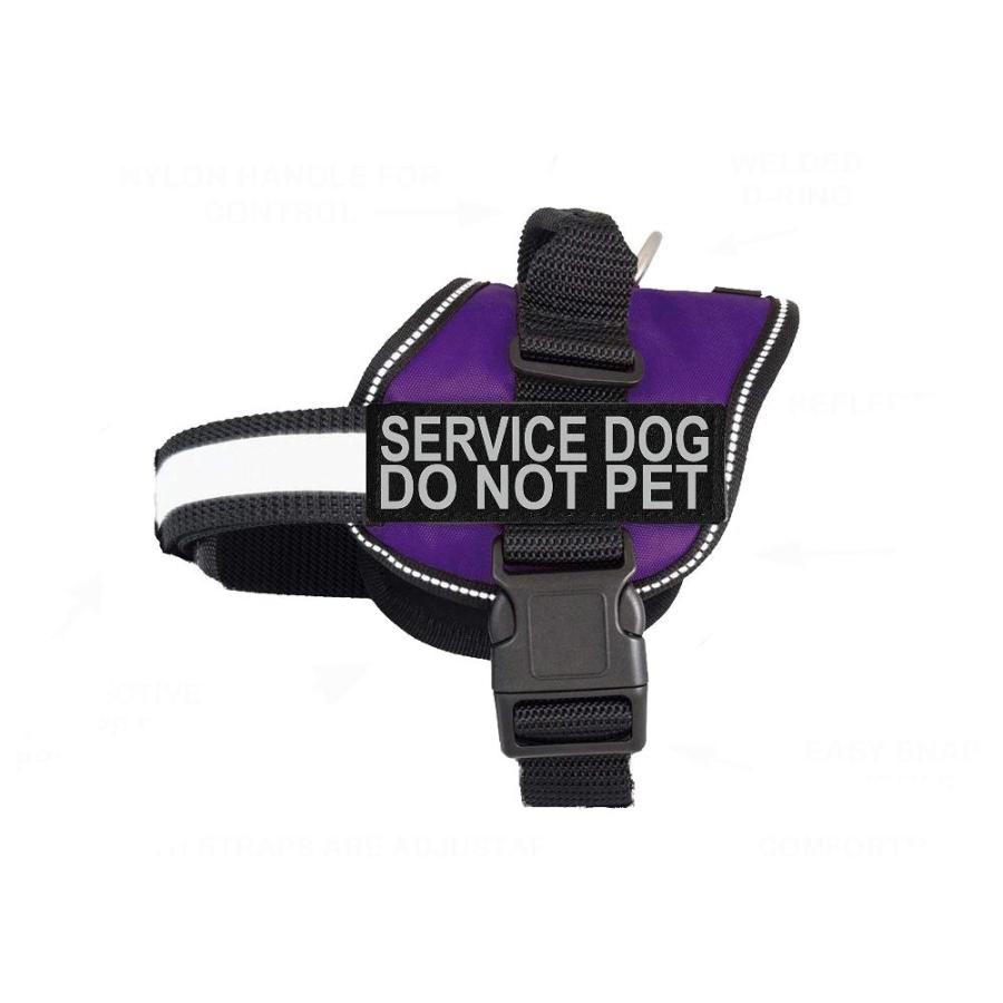 Onetigris No Pull Multi-Use Dog Harness for Medium Large Dogs, Tactica –  KOL PET