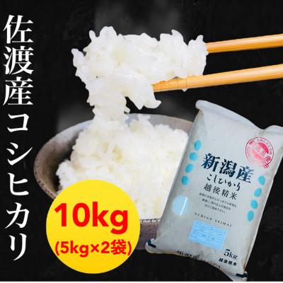 ふるさと納税 佐渡市 佐渡羽茂産コシヒカリ 5kg×2袋セット