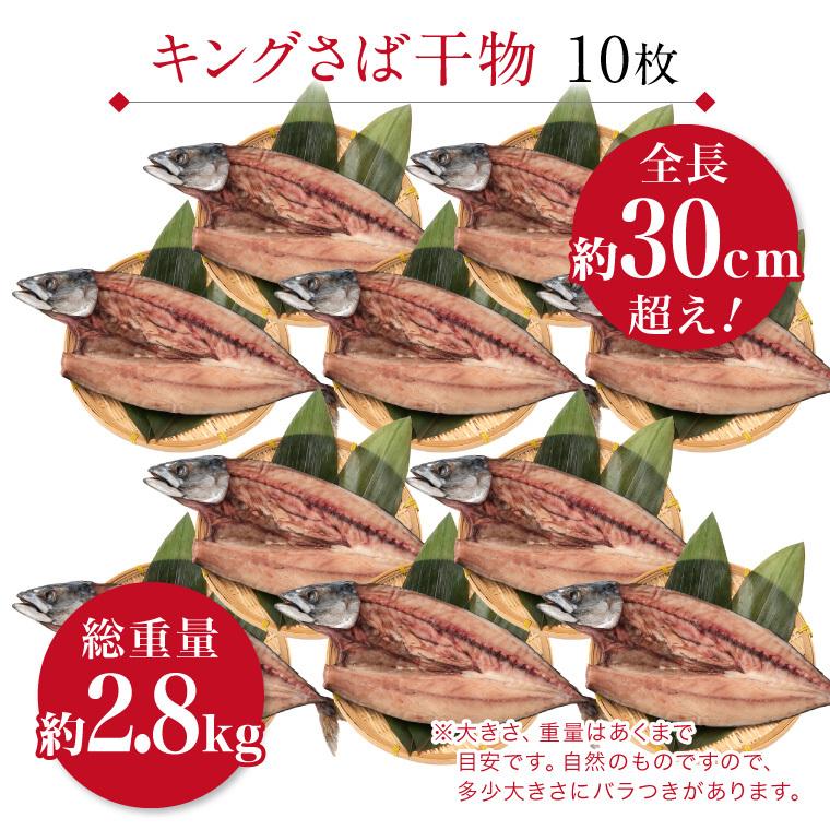 特大 サバ 干物 1尾×10パック 巨大 キング さば 鯖 干物セット 真空パック 一夜干し 一夜干し魚 一夜干しセット ((冷凍))