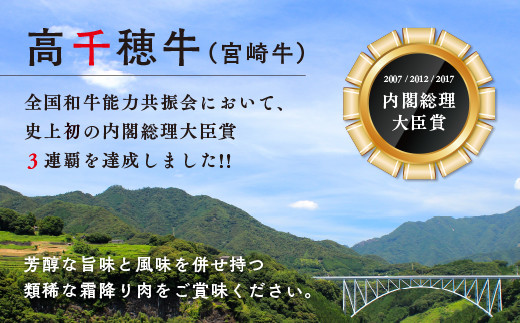 高千穂牛 すね肉(計800g・400g×2P)