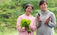 収穫したての新鮮野菜！オーガニック野菜セット 6~8品