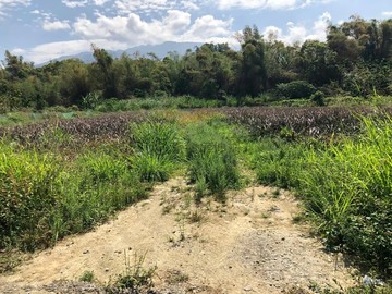 上龍泉悠悠清境優美農地|近科大|6米路｜屏東縣內埔鄉上龍泉段