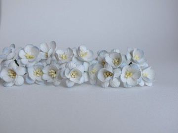 紙花，50 片，DIY 尺寸 2.5 公分。櫻花，淡藍色刷色。