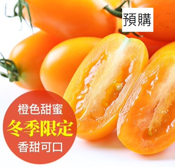 【愛上新鮮】橙蜜香小番茄(預購品12/29後陸續出貨)