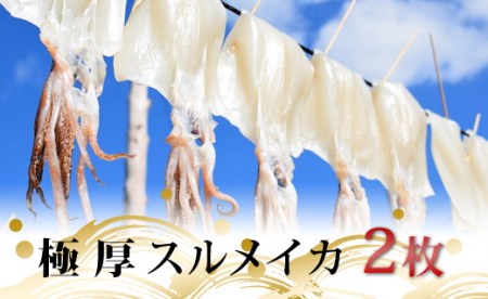 極厚スルメイカの一日干し 2枚