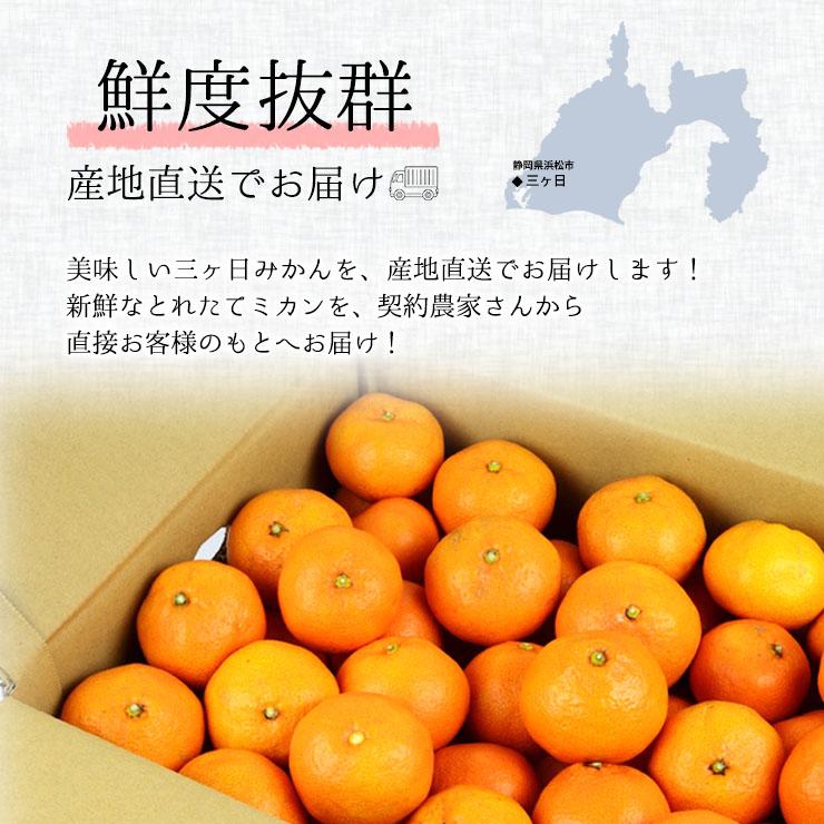  低農薬 有機栽培 三ヶ日 早生 みかん 10kg 送料無料 訳あり やさしいらぁ 3S 〜 3L サイズ不揃い 特別栽培 有機肥料 三ヶ日みかん 産地直送 農家直