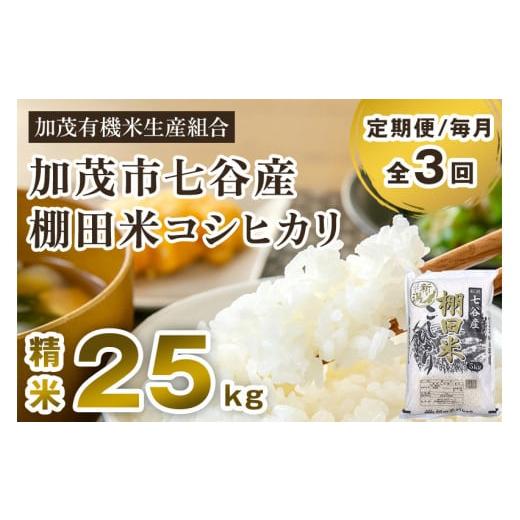 ふるさと納税 新潟県 加茂市 新潟県加茂市 七谷産 棚田米コシヒカリ 精米25kg（5kg×5）白米 加茂有機米生産組合