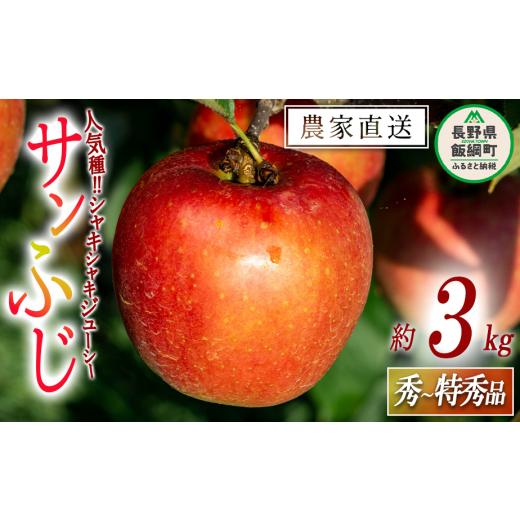 ふるさと納税 長野県 飯綱町 りんご サンふじ 秀 〜 特秀 3kg 永野農園 沖縄県への配送不可 2023年12月上旬頃から2024年2月上旬頃まで順次発送予定 令和5年度…