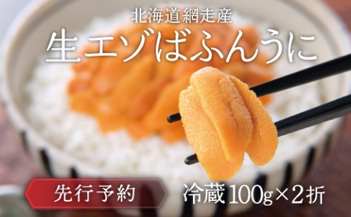 網走産 生エゾばふんうに 冷蔵100g×2折（2024年3月から7月の期間に発送予定） ABC009