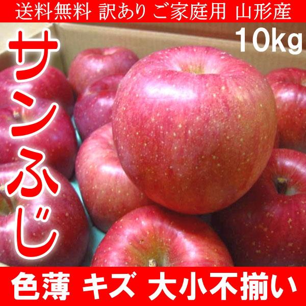 送料無料 訳あり ご家庭用 山形産 サンふじ りんご 色薄 キズ 大小不揃い 10kg ご予約