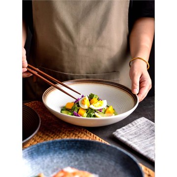 新款高級深盤特別好看菜盤家用盤子陶瓷釉下彩復古餐盤日式餐具