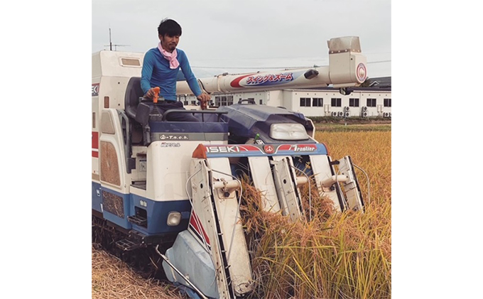 有機米こしひかり「水の精」白米5kg