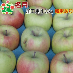 りんご 訳あり 青森県産 名月 超訳あり 加工用 10kg 送料無料 産地直送 産直自宅用 ワケあり お試し 試食 食べ物 旬の くだもの 果物