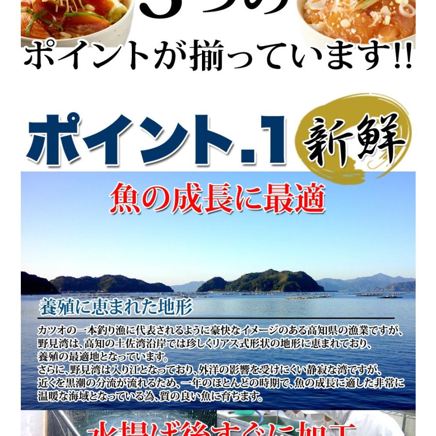 流水解凍約5分!!鮮度抜群の絶品丼ぶりをご自宅で!!国産ぶっかけ漬け丼2種（鯛×3食、鰤×3食）[冷凍]