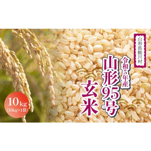 ふるさと納税 山形県 鮭川村 令和5年産　山形95号10kg（10kg×1袋）山形県鮭川村