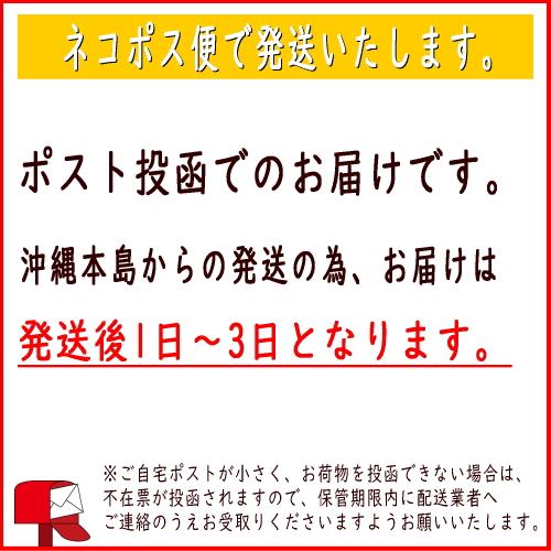 沖縄産海ぶどう1袋 ＋いか墨小袋(1袋)付き