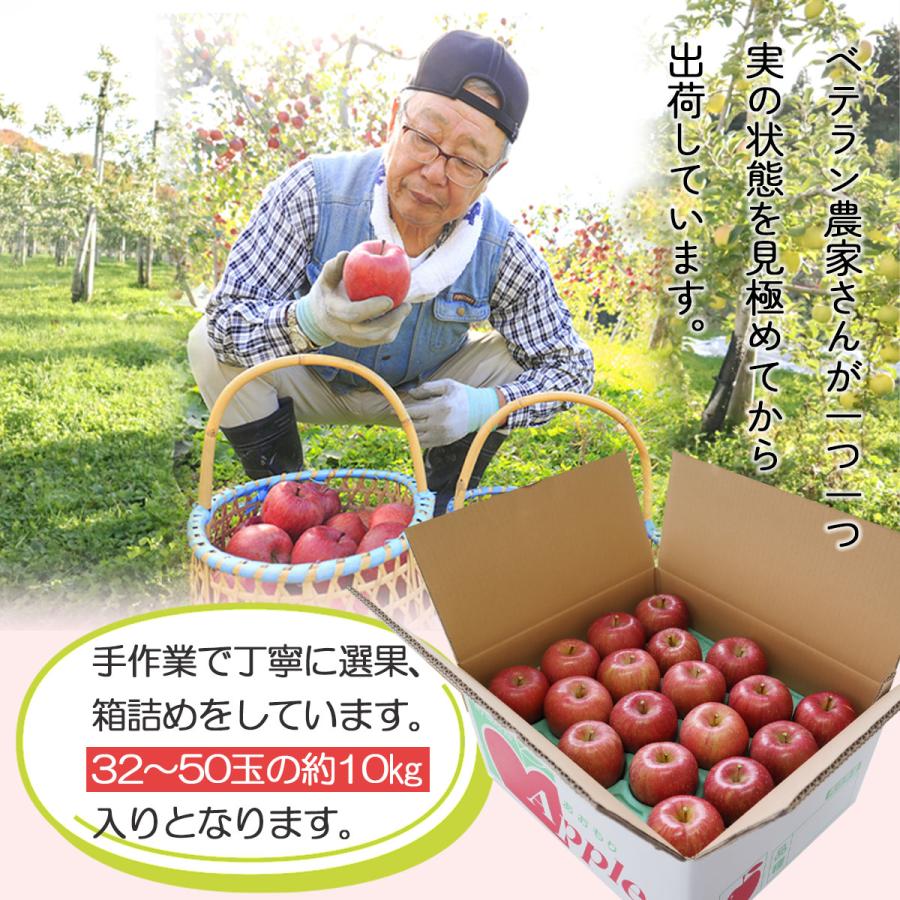 2023年産 青森県産りんご ご家庭用 訳あり サンふじ10kg （約32玉〜50玉入り）産地直送