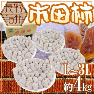 長野・南信州産 ”市田柿” L～3L 約4kg 送料無料