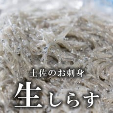 土佐のお刺身「生しらす」3個セット