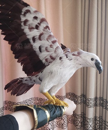 現貨】丐幫隼 娜可露露的老鷹 仿真隼cosplay道具模型定做
