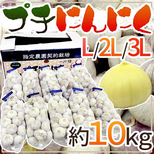 プチにんにく L 2L 3L 約10kg