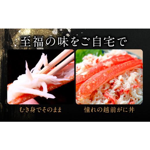 ふるさと納税 福井県 越前市 越前がに（オス）「ずわいがに」（400g〜600g） 訳あり 1杯