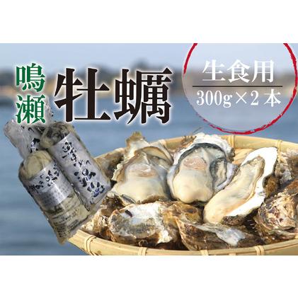 ふるさと納税 宮城県 奥松島産 鳴瀬かき 生食用 600g2023年11月頃配送開始予定 牡蠣 かき カキ 生かき むき身 宮城県東松島市