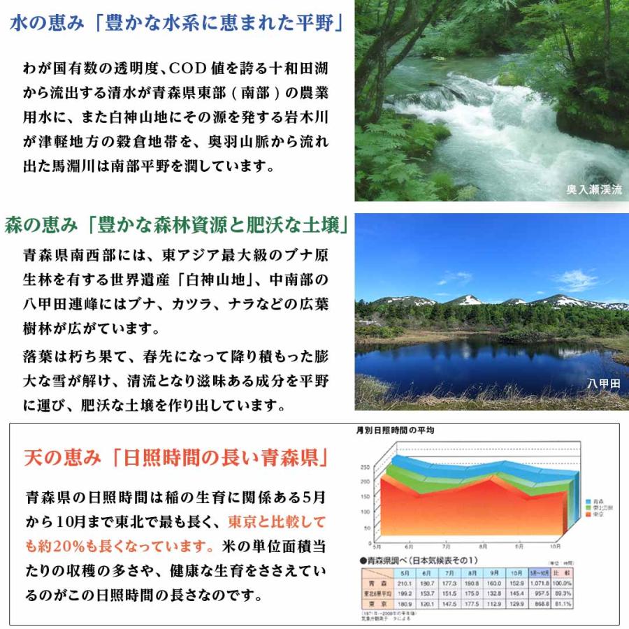 米10kg 米 お米 10kg 白米 送料無料 まっしぐら 青森県産 安い 米5kg×2 こめ 米10キロ お米10キロ お米10kg 精米 単一原料米 令和5年産 新米 美味しい 格安