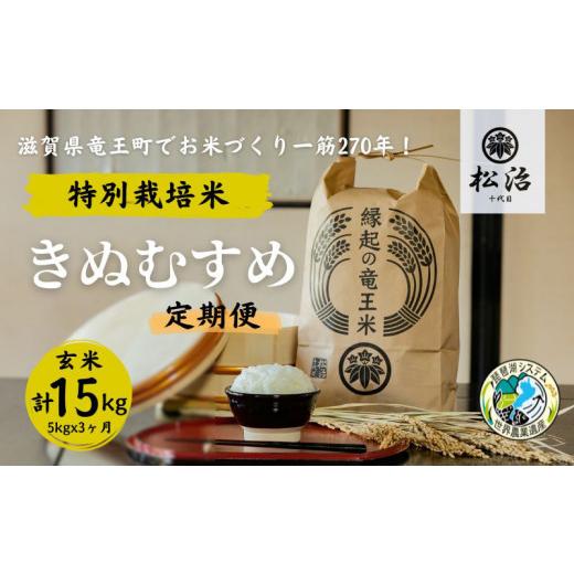 ふるさと納税 滋賀県 竜王町 定期便 3ヶ月 きぬむすめ 玄米 5kg 縁起の竜王米 特別栽培米 令和5年産  新米 ブランド米 玄米 計 15kg 定期便 3回 おこめ ご飯…