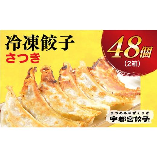 ふるさと納税 栃木県 宇都宮市 　餃子24個入り×2箱