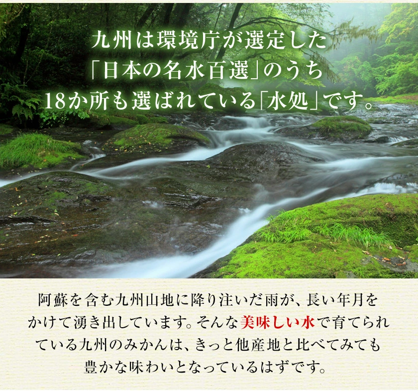 みかん 訳あり 送料無料 2セット購入で1セットおまけ 1セット1.5kg入 お取り寄せフルーツ 柑橘類 ミカン わけあり 九州産 7-14営業日以内に出荷予定