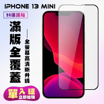 IPhone 13 MINI 保護貼 滿版黑框高清手機保護貼