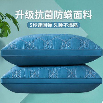枕頭枕芯一對裝家用男護頸椎枕助睡眠五星級酒店睡覺專用雙人整頭