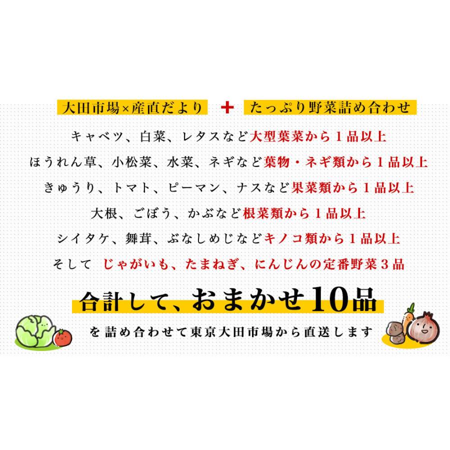 市場からご自宅へ直送　たっぷり野菜詰め合わせ　応援セット　（国産おまかせ野菜１０品セット）