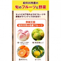 紀の川市の恵み 旬のフルーツ＆野菜セット 計8～10品《お申込み月翌月から出荷開始》和歌山県 紀の川市 フルーツ 果物 野菜 セット 桃 梅 みかん 新玉ねぎ なす トマト キャベツ