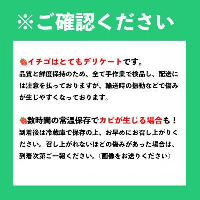 ふるさと納税 糸島市 糸島産あまおう2パック