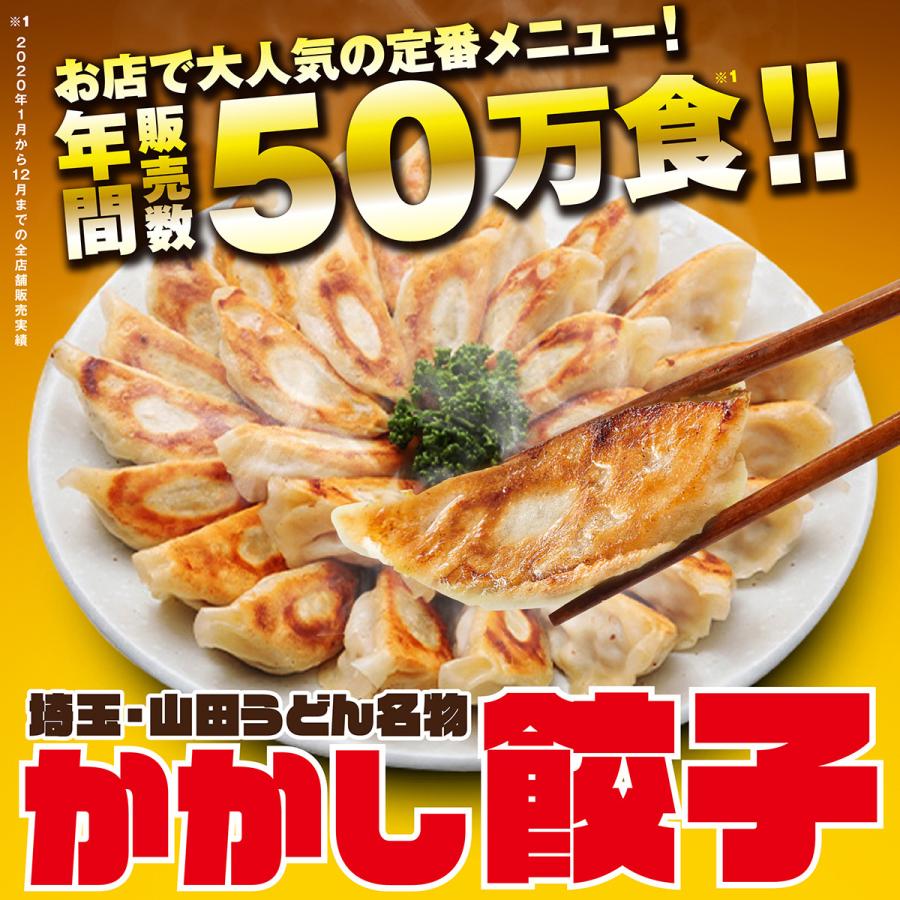 ギフト　業務用　名物　かかし餃子　中華　惣菜　埼玉　おつまみ　おかず　ポイント消化　冷凍食品　お取り寄せグルメ　LINEショッピング