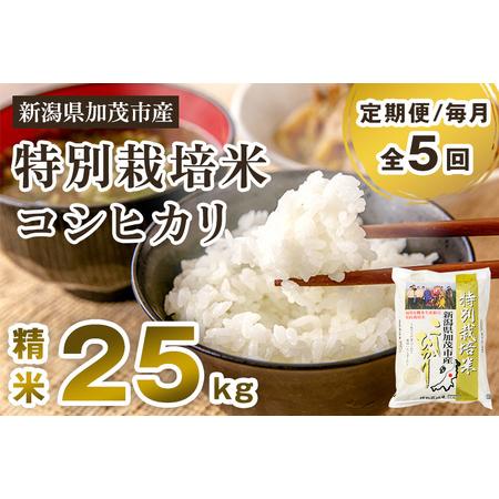 ふるさと納税 新潟県加茂市産 特別栽培米コシヒカリ 精米25kg（5kg×5）白米 従来品種コシヒカリ 加茂有機米生産.. 新潟県加茂市