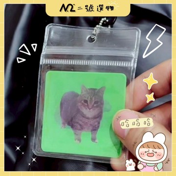 〚🌸二號選物👉現貨隔日到貨〛迷因 oiiai貓 3D 立體 旋轉 小卡 貓吊飾 迷因鑰匙圈 迷因貓吊飾 鑰匙圈 掛卡