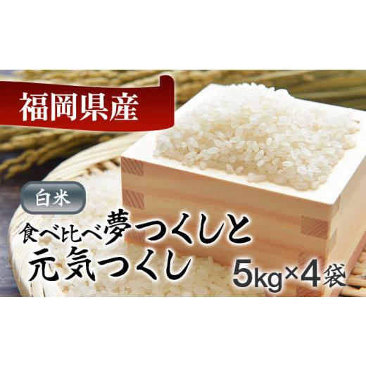 ふるさと納税 福岡県 田川市 新米 令和5年産　福岡県産米食べ比べ（白米）「夢つくし」と「元気つくし」セット　計20kg