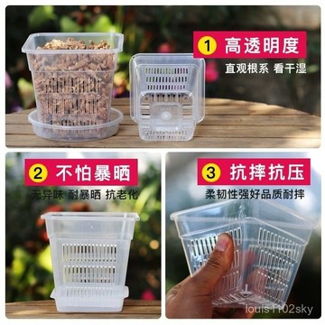臺灣🚍8H出🉑蘭花盆栽透明方盆加厚透氣塑料花盆控根盆蝴蝶蘭定植籃洋蘭水培籃