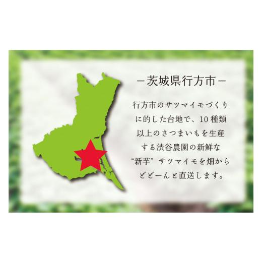 ふるさと納税 茨城県 行方市 BZ-14  2023年度産 濃厚な甘みのさつまいも　紅はるか　約10kg