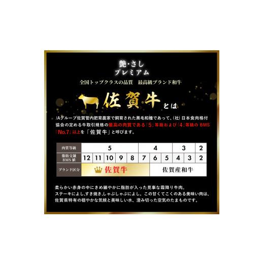 ふるさと納税 佐賀県 大町町 “佐賀牛ヒレ”を食べやすいサイコロステーキで(400g)NK0006