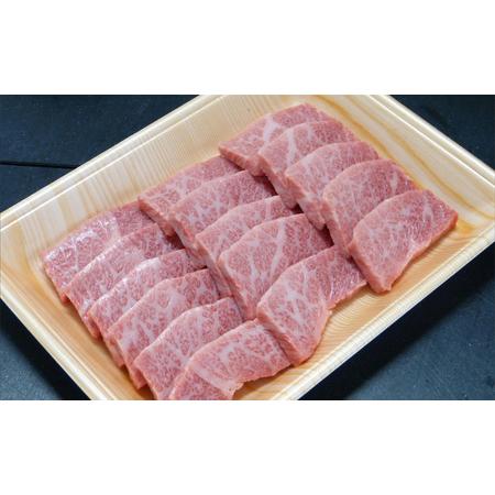 ふるさと納税 牛肉 飛騨牛 焼肉 希少部位 三角バラ 300g 黒毛和牛 A5 美味しい お肉 牛 肉 和牛 焼き肉 BBQ バーベキュー   岐阜県揖斐川町