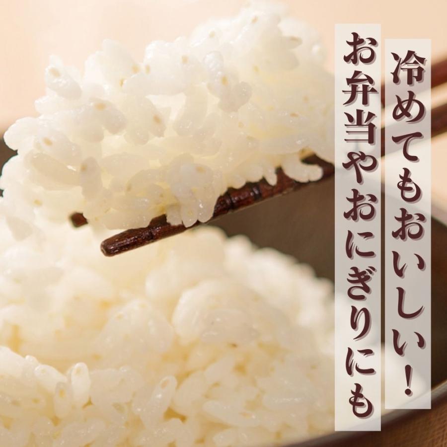 直送 白米 みずかがみ 白米 滋賀県産 みずかがみ 5kg (滋賀県産みずかがみ5kg